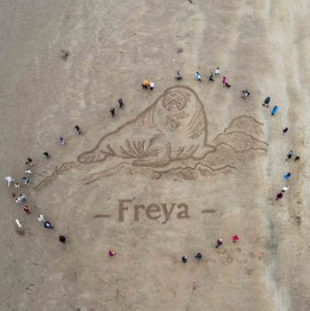 Freya-11