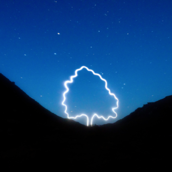 Sycamore-Gap