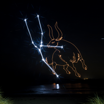 Taurus with constellation