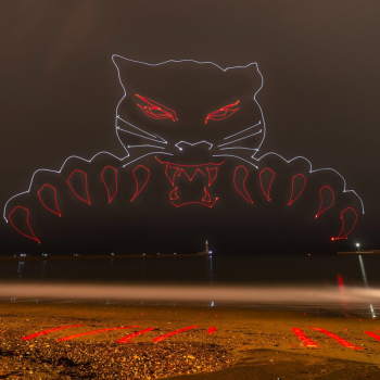 SAFC-Black-Cat